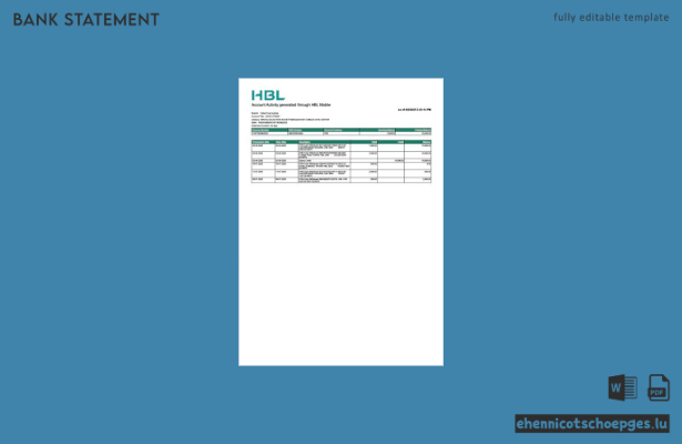 Beispiel eines Kontoauszugs der HBL Pakistan